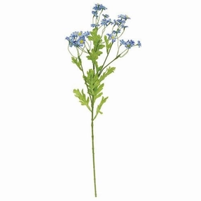*Chamomile Flower Spray Blue