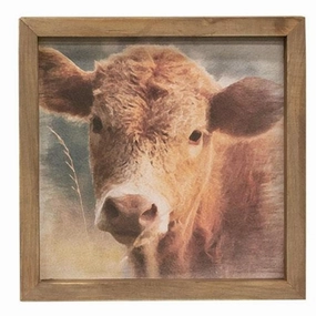 *Cow Portrait Framed Print