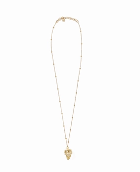 $kull Crown Crystal Cable Chain Necklace