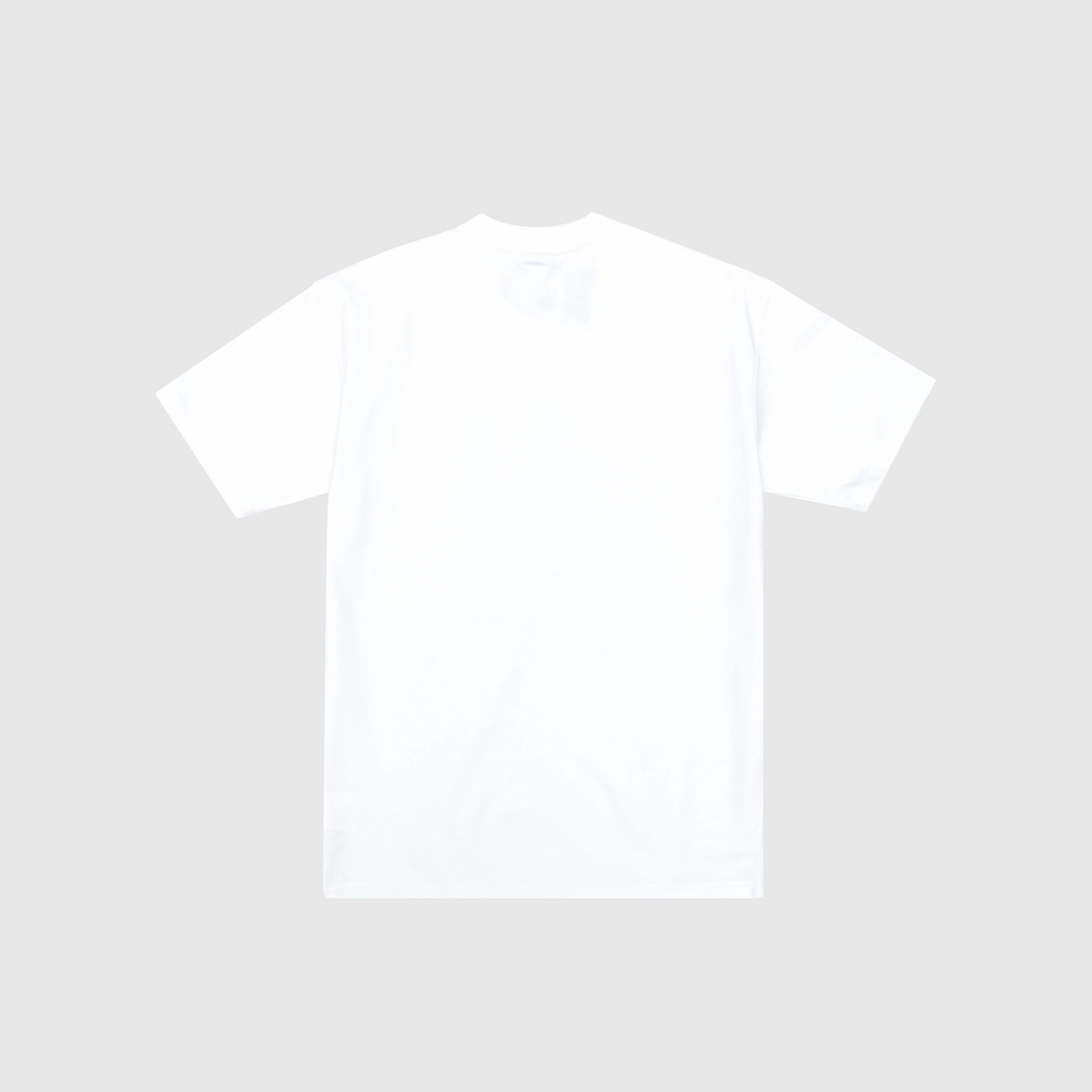 ACG TOUCAN S/S T-SHIRT SUMMIT WHITE