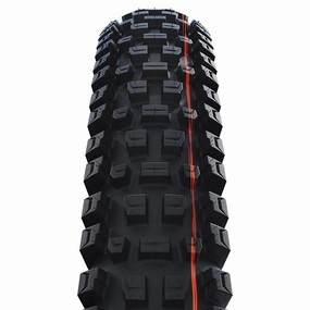Albert Gravity Pro E50 Tire 29x2.6" Addix Soft