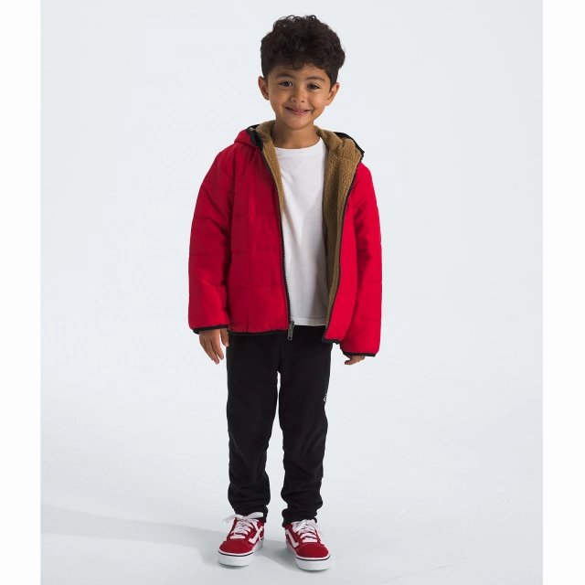 Kids' Boys' Reversible Shasta Full Zip Hooded Jacket