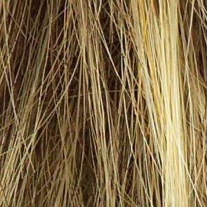 Winner Elite Wig by Raquel Welch | Synthetic (Lace Front Mono Top)